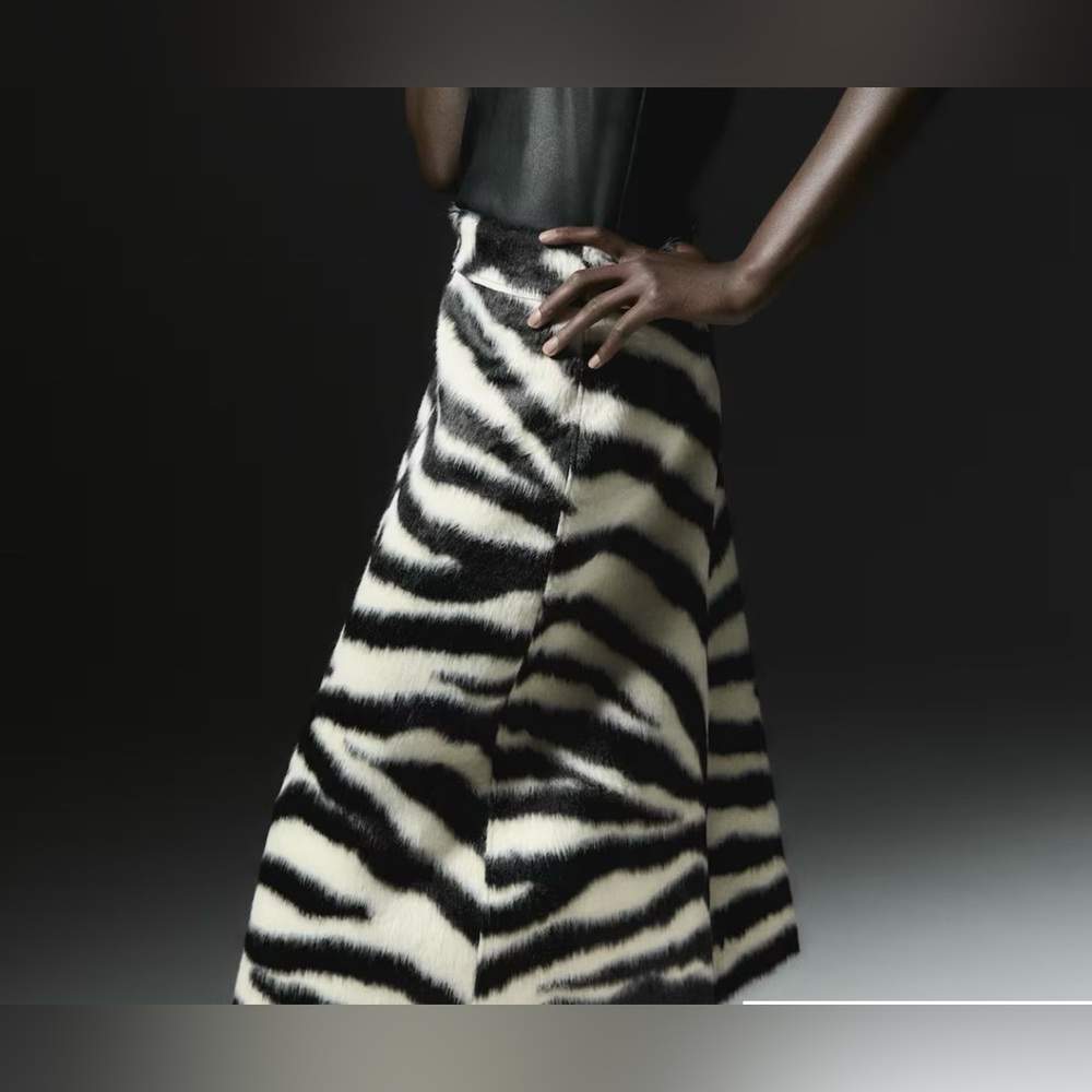 H&M zip front skirt NO OFFERS. ZEBRA - Picture 2 of 5